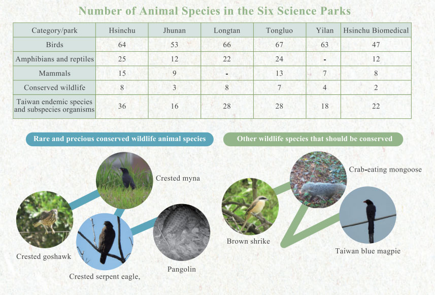 Number of Animal Species in the Six Science Parks
